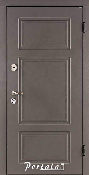 Двери квартирные, серия Люкс+Кале, модель БЕЛФАСТ, гнутый профиль, коробка 100 мм, полотно 80 мм, KALE 850 Киев - изображение 1