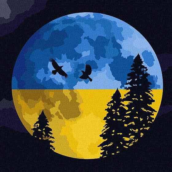Набір для розпису по номерах. "Під вільним небом" 40х40см, шт Київ