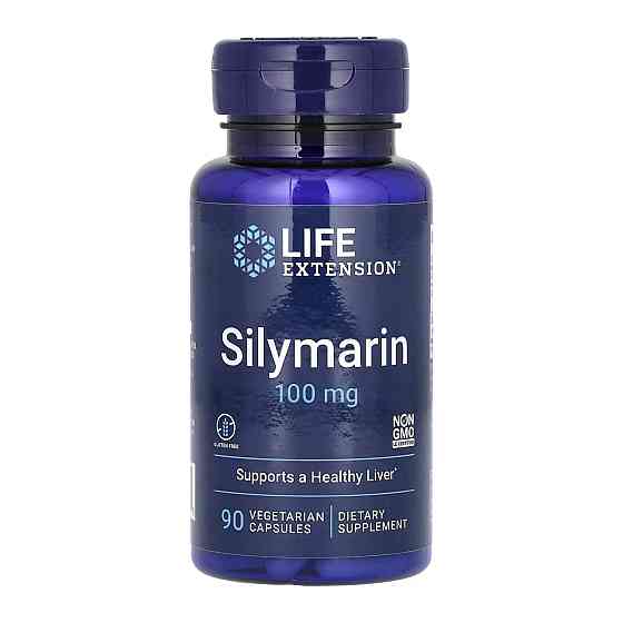 Silymarin 100 mg - 90 veg caps Луцьк