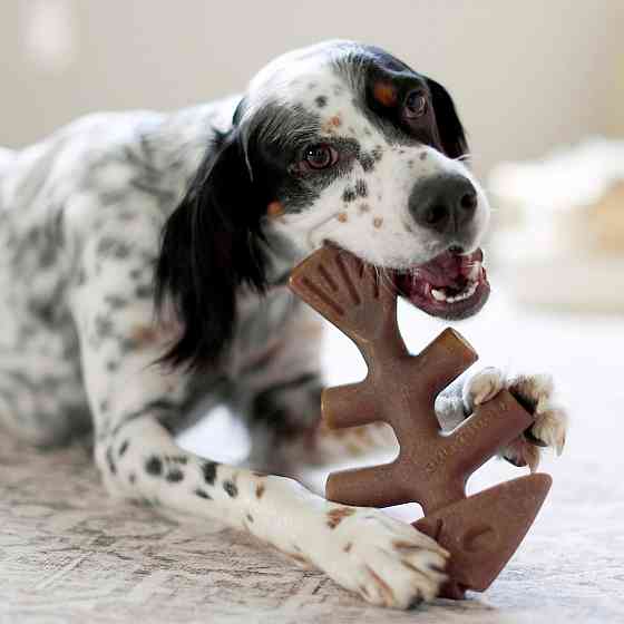 Жувальна іграшка для собак Бенебон Benebone Fishbone Salmon зі смаком лосося для собак до 27 кг (розмір M) Вінниця