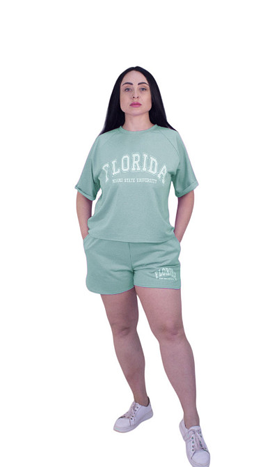 Летний спортивный костюм с шортами Оливковый XL-2XL Харьков - изображение 1