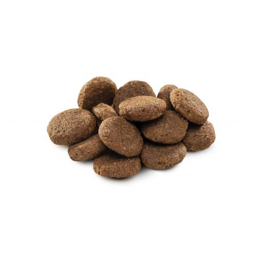 Корм сухий Brit Premium Dog Senior L+XL для собак похилого віку великих та гігантських порід вагою 25-90 кг з куркою 15 кг Київ - фото 2