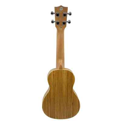 Укулеле Parksons UK21Z + Чохол RB20000 Вінниця