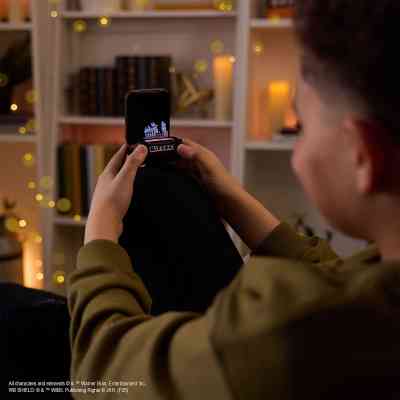 Интерактивная игрушка Bitzee с виртуальными цифровыми героями – Гарри Поттер (6076508) Винница