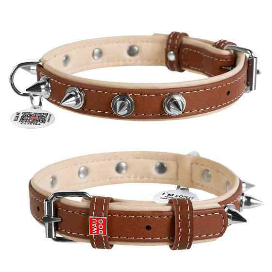 Нашийник для собак шкіряний WAUDOG Soft з QR паспортом, з шипами, Ш 20 мм, Дов 30-39 см коричне Коломия