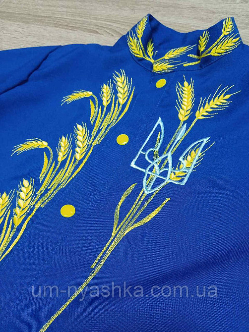 Хлопчача вишиванка "Колоски-тризуб" на кнопках 104-164 Кривий Ріг - фото 2
