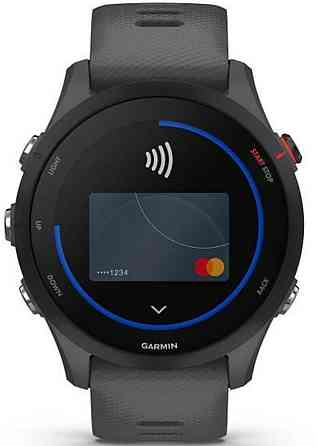 Смарт -Часы GARMIN Forerunner 255 Slate Grey. Киев