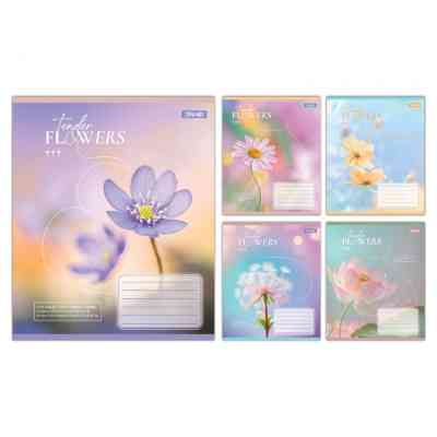 Зошит 1 вересня Tender Flowers А5 24 аркушів лінія (768077) Вінниця