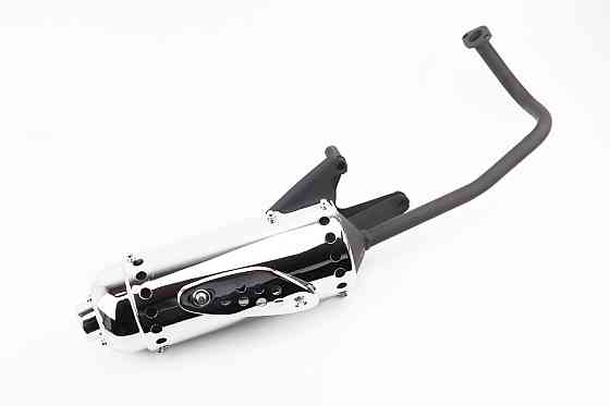 Глушник в зборі, тип 1 Киев