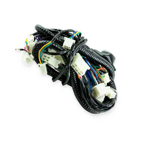 Проведення PRIX GRAND Мукачево