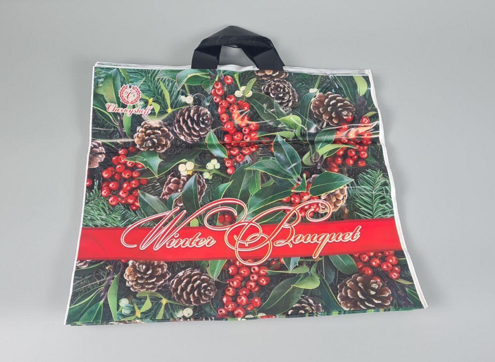 Пакет із петльовою ручкою (38 *34) Н.Год "Зимовий букет" Репако (25 шт.) Харків - фото 1