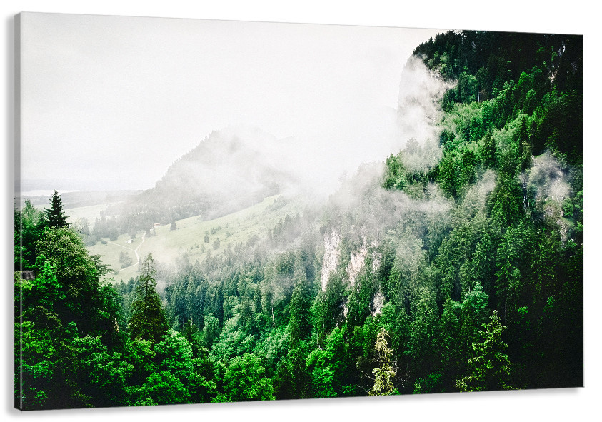 Картина холст в гостиную / спальню  Природа гір     MLP_49 70x140 см Киев - изображение 1