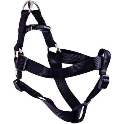 Шлея для собак GimDog Harlem X нейлон 2.5х65-99 см чорна (8009632059112) Вінниця