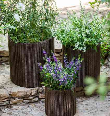 Горщик для квітів Keter 18 л. Cylinder Planter Medium, коричневий Київ