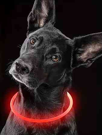 Светящийся ошейник для собак или котов с USB зарядкой имеет три режима свечения L 70 см красный Киев