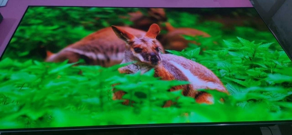 Телевизор Безрамный: 65