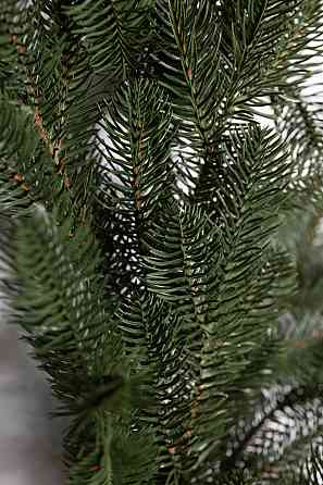 Штучна гірлянда Хвоя 2 м зелена, новорічна гірлянда лита реалістична Преміум KOS-HVO12 Коломия