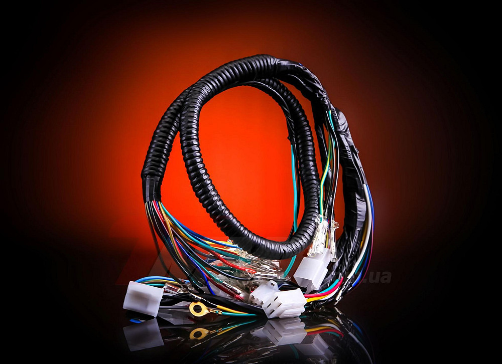 Проведення Alpha EVO-2 Київ - фото 1