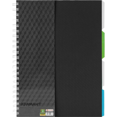 Блокнот Optima A4 Adamant пластиковая обложка, с разделителями и перфорацией, 120 листов, клетка черный (O20843-01) Винница - изображение 1