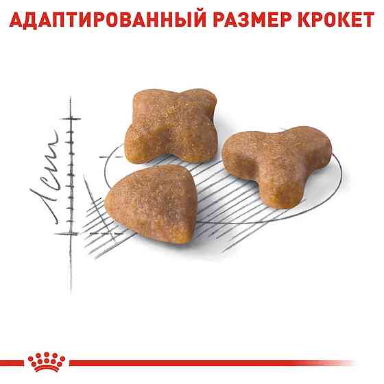 Royal Canin Sensible 33 (Роял Канін Сенсібл) сухий корм для котів за слабкої травної системи з 12 міс. Запоріжжя