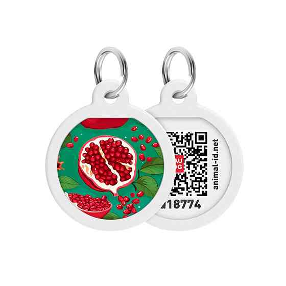 Адресник для собак и кошек металлический WAUDOG Smart ID с QR паспортом, рисунок 