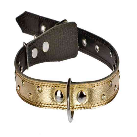 Нашийник 3243 25мм "Перламутр" шкіряний подвійний прикрашений стразами Мідний Вінниця