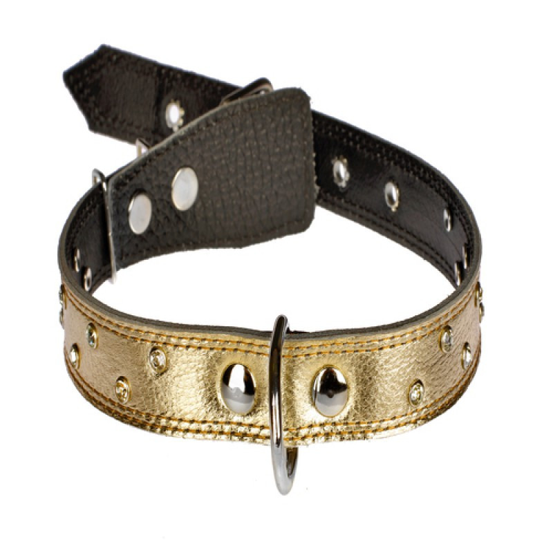 Нашийник 3243 25мм "Перламутр" шкіряний подвійний прикрашений стразами Мідний Вінниця - фото 1