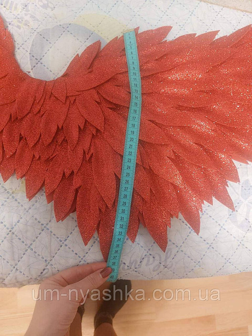 Червоні Крила великі Кривий Ріг - фото 8