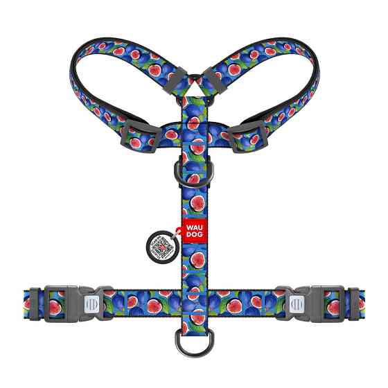 Шлея для собак анатомическая H-образная WAUDOG Nylon с QR паспортом, рисунок 