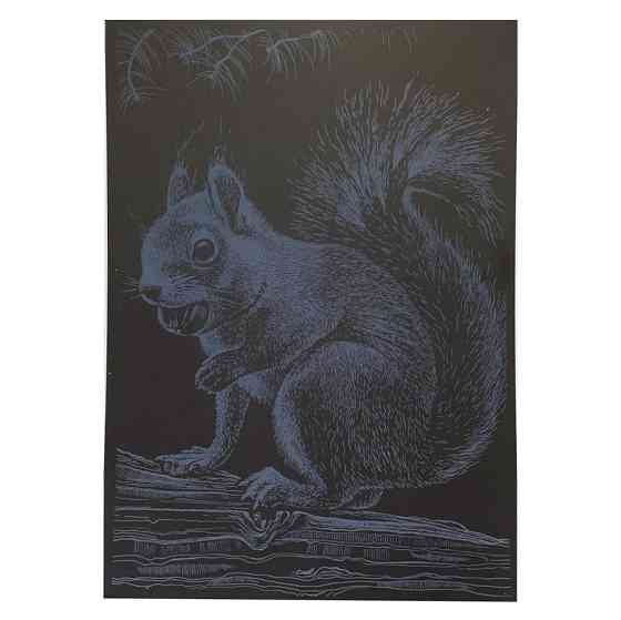 Гравюра А4 "Білка" ГрА4-1с економ варіант в пакеті 29,7х21 см Вінниця