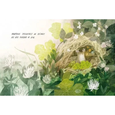 Книга Туконі - мешканець лісу - Оксана Була Видавництво Старого Лева (9786176794929) Винница - изображение 4