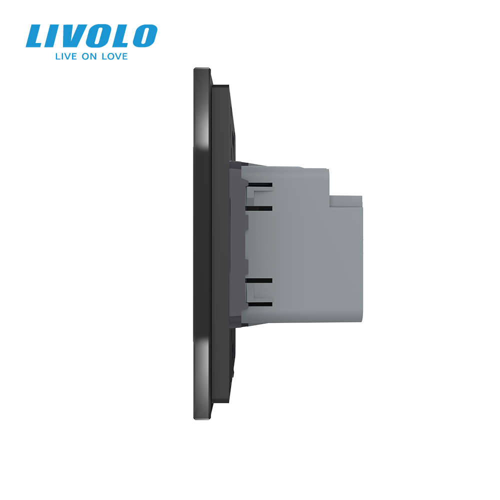 Розетка USB-A та USB-C з Power Delivery 36W LIVOLO чорна матова скло Коломия - фото 9