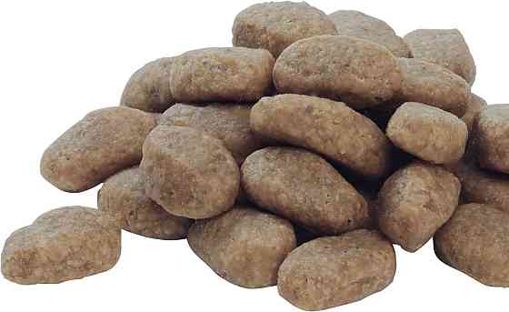 Сухий корм Purina Pro Plan Medium Sensitive з лососем для середніх порід схильних до алергії 14 кг Вінниця