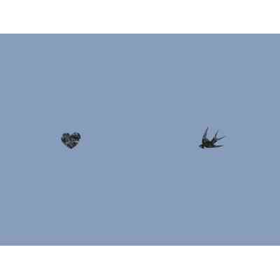 Книга Наші втрачені серця - Селесте Інґ Наш Формат (9786178120887) Вінниця