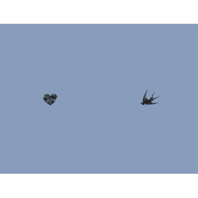 Книга Наші втрачені серця - Селесте Інґ Наш Формат (9786178120887) Вінниця - фото 4