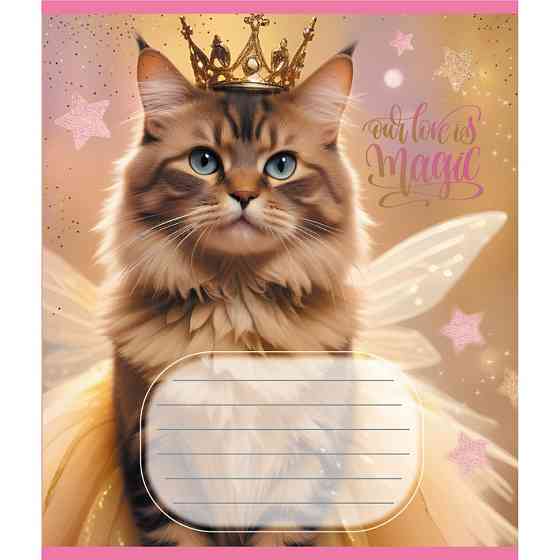 Зошит учнівський "Кішка фея" 024-560046L-5 в лінію, 24 аркуші Вінниця