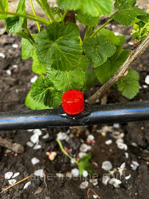 Капельница с компенсацией давления(универсальная) Харків - фото 2