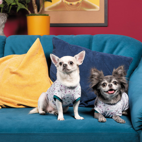 Футболка Pet Fashion Flora для собак бавовна трикотаж біла з квітковим принтом S Київ - фото 4