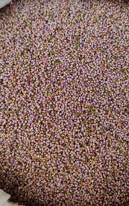 Вереск (цвет), 1кг. MasterSEM Киев - изображение 1