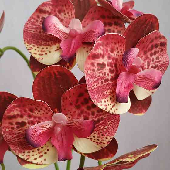 Штучна латексна міні орхідея в сірому пластиковому кашпо на дві гілки жовто-малинова Дніпро