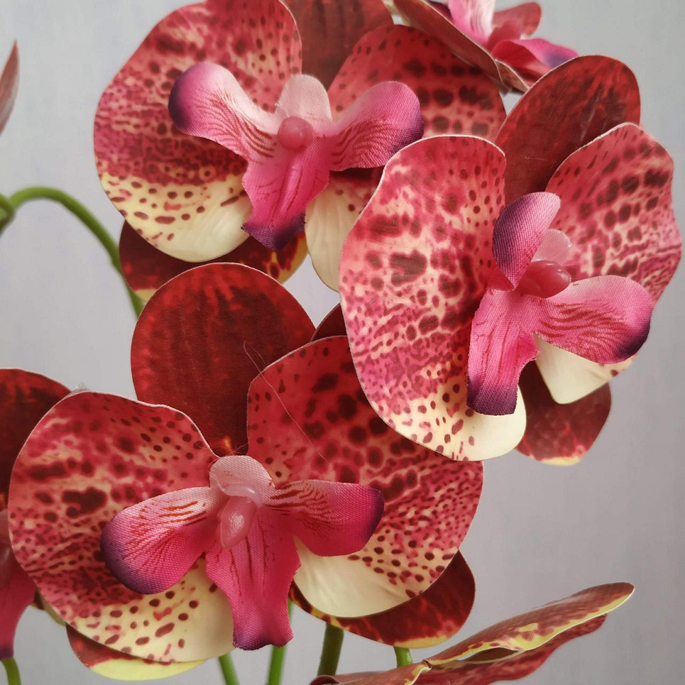 Штучна латексна міні орхідея в сірому пластиковому кашпо на дві гілки жовто-малинова Дніпро - фото 5