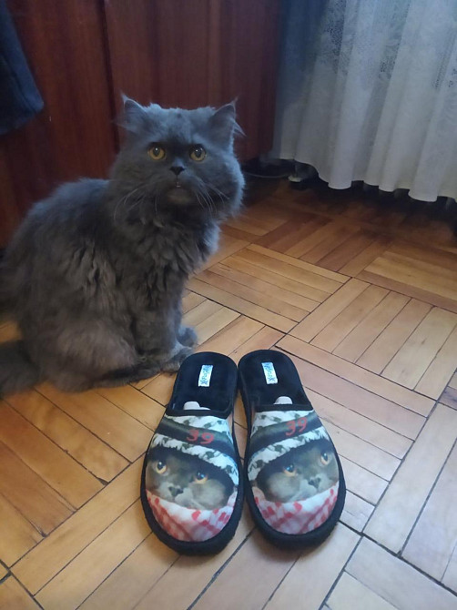 Тапочки с вышивкой женские мужские тапки на заказ от производителя Одесса - изображение 11