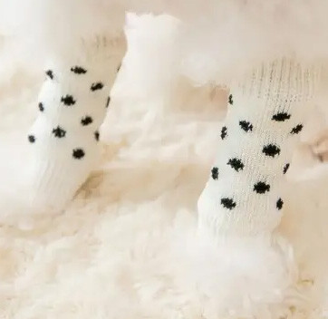 Гетры для собак мелких пород S Киев - изображение 1