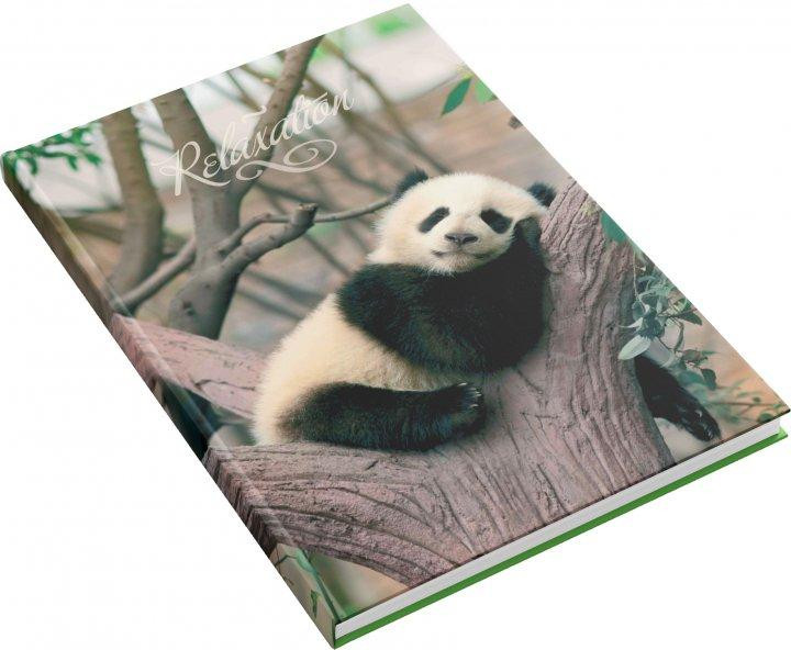 Книга канцелярська А4/176 арк."Аркуш""Панда" # офсет, тверда обкл., 1В2375, шт Київ - фото 1