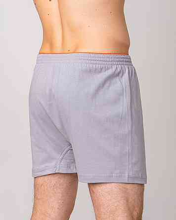 Сімейні чоловічі труси 100% бавовна Ozkan 0041-2 L Київ