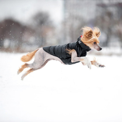 Курточка для животных Airy Vest двусторонняя XS 22 красно-чёрная (1700) Винница - изображение 3