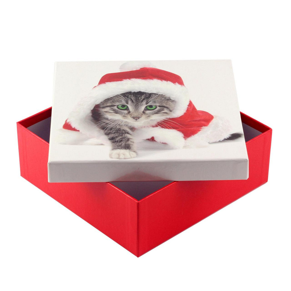 Коробка подарункова ООТВ Santa Cat 20 х 20 х 8 см Рівне - фото 1