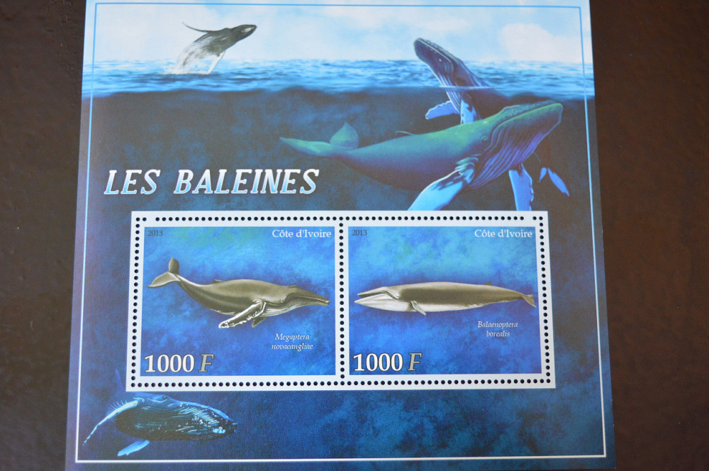 Марки. Фауна. Блок. 2010 рік (А-31) Полтава - фото 1