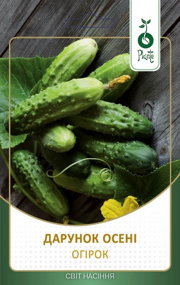Насіння Огірка Дарунки осені Київ - фото 1
