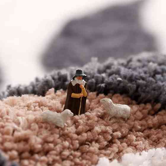 Килимок для ванної кімнати та душу килимок для ніг у душову, мікрофібра, атиковзкий 50х80 см, принт папороть Кам'янець-Подільський